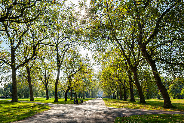 Hyde Park